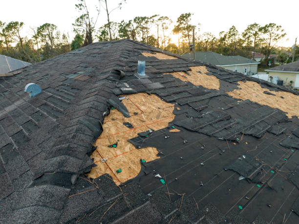 Best Skylight Installation and Repair  in Highland Springs, VA