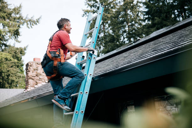 Best Chimney Flashing Repair  in Highland Springs, VA